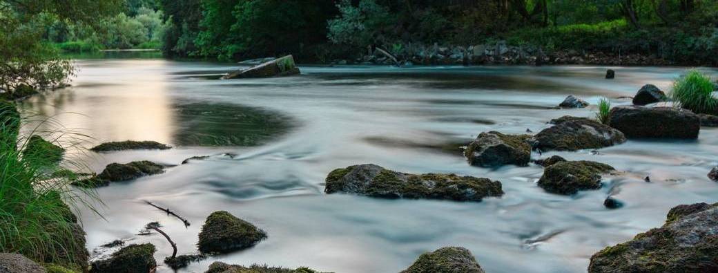 Renaissance de Printemps & Renouveau