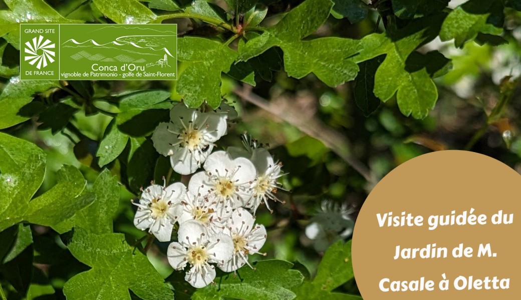 Rencontre agricole – Les jardins de M. Casale 