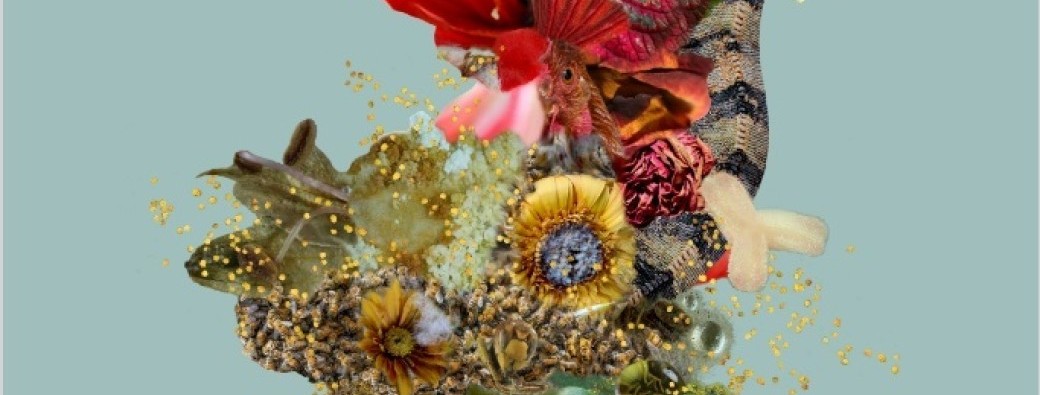 Avant-goût : rencontre avec Muriel Taragano