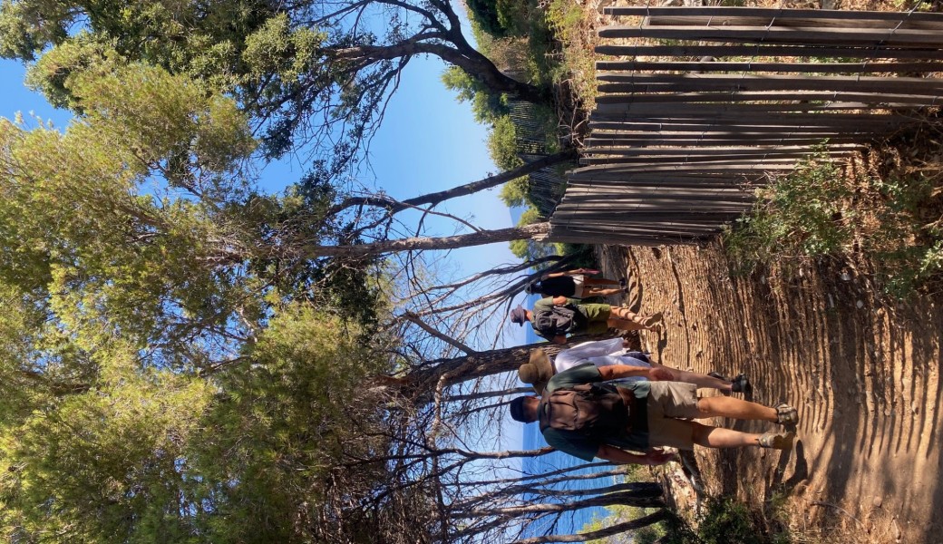 RENCONTRE BIODIVERSITE : Randonnée guidée du sentier de la Vecchiaia