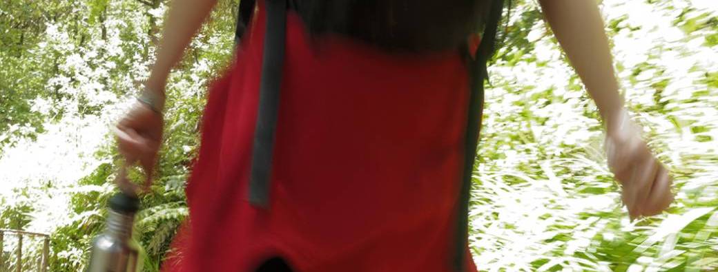 Formation pour accompagnateurs d'enfants en nature