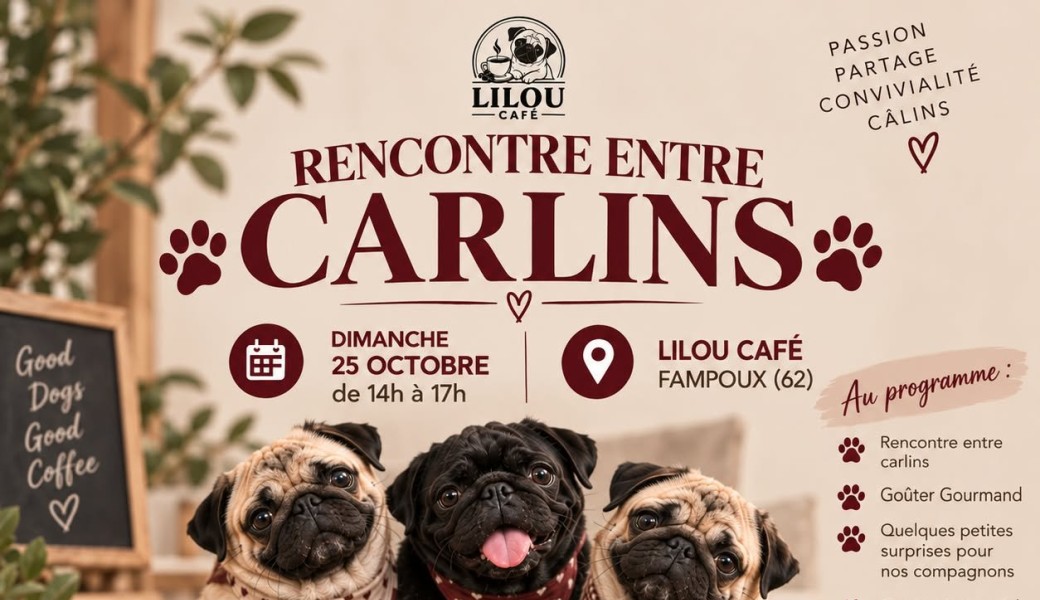 Rencontre entre carlins