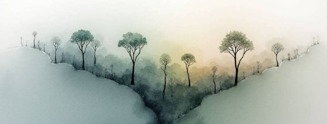 Rencontre entre la sensation de Sankaran et l'éloge de l'arbre de Francis Hallé