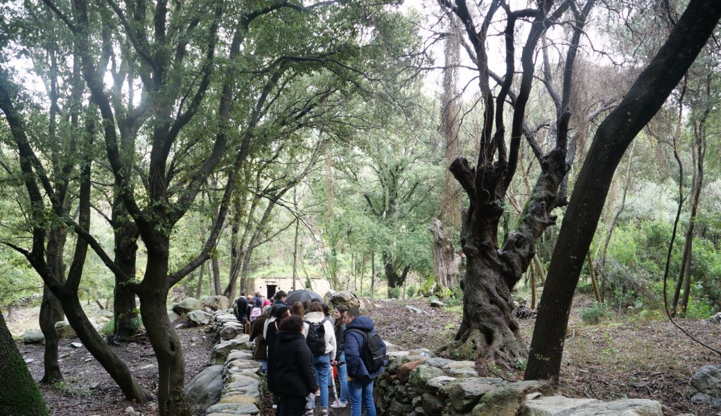 RENCONTRE PATRIMOINE : visite guidée Patrimonio et sentier du Patrimoine 