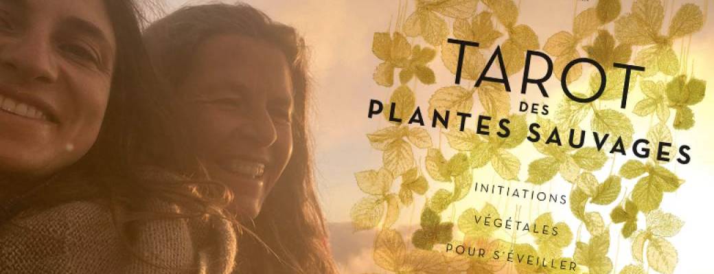 Rencontre sensible avec les plantes sauvages Rencontre sensible avec les plantes sauvages