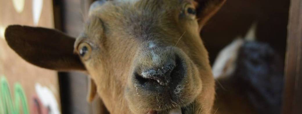 Ateliers PARENT-ENFANT au jardin Forever / Le Pradet