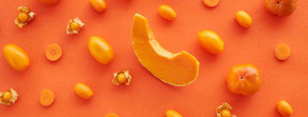 Rendez-vous en terre agricole - Alimentation & conscience alimentaire