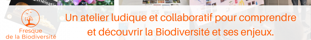 RENNES - Atelier Fresque de la Biodiversité