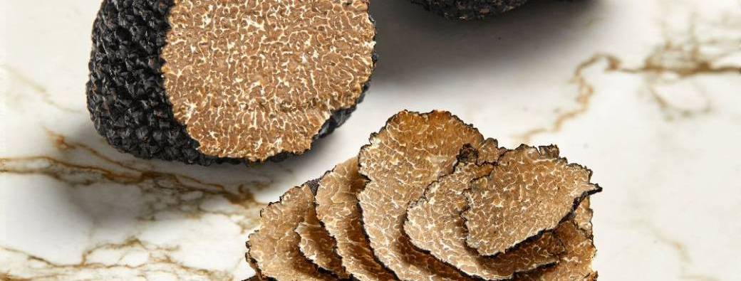 Repas autour de la truffe noire