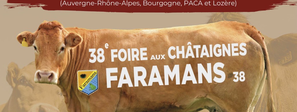 Repas Foire aux châtaignes