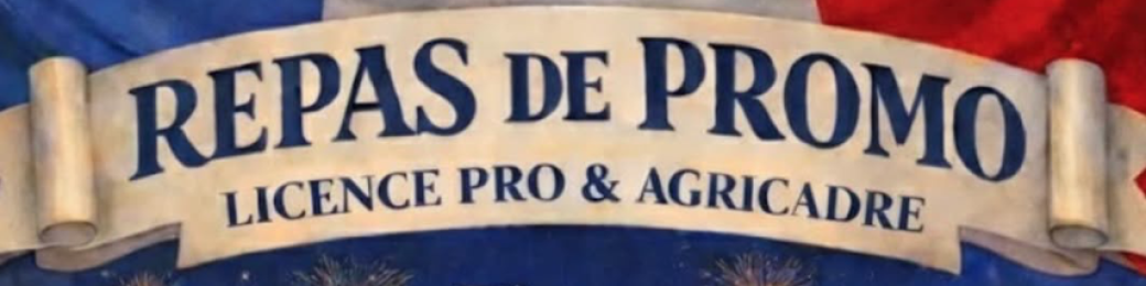 Repas promo agricadres licence pro 