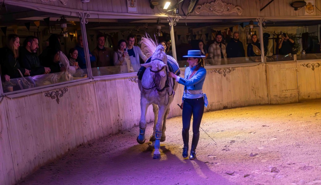 Repas spectacle équestre