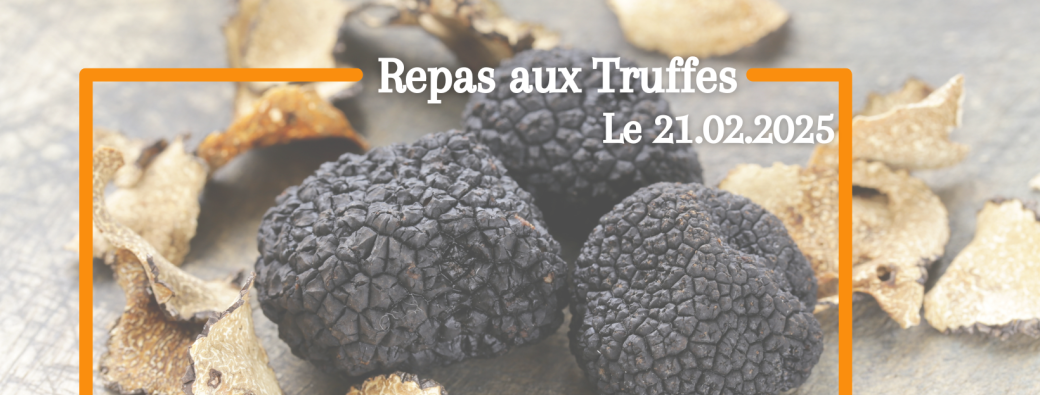 Visite de la Truffière & Repas aux Truffes