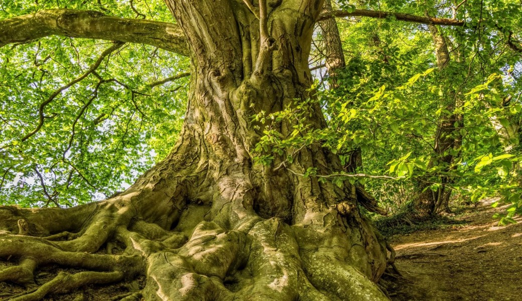 REPLAY Atelier 1 : pratique pour investir votre place chez vous et dans la vie