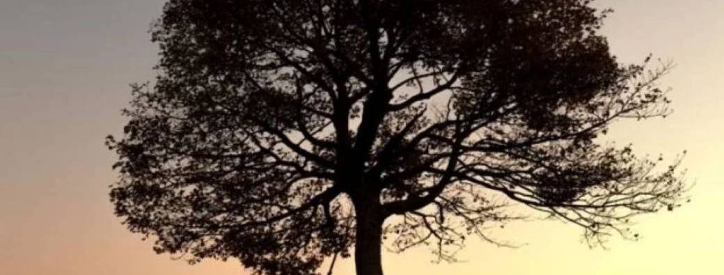 REPLAY Atelier 3 Rituel en Nature pour soigner la souffrance