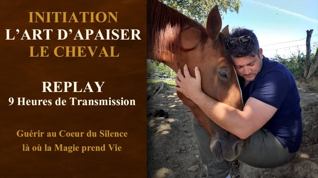 Replay : Initiation l'Art d'Apaiser le Cheval ( 9h )