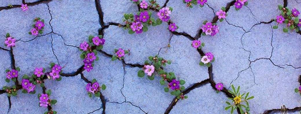 Journée réseau des tempêtes 