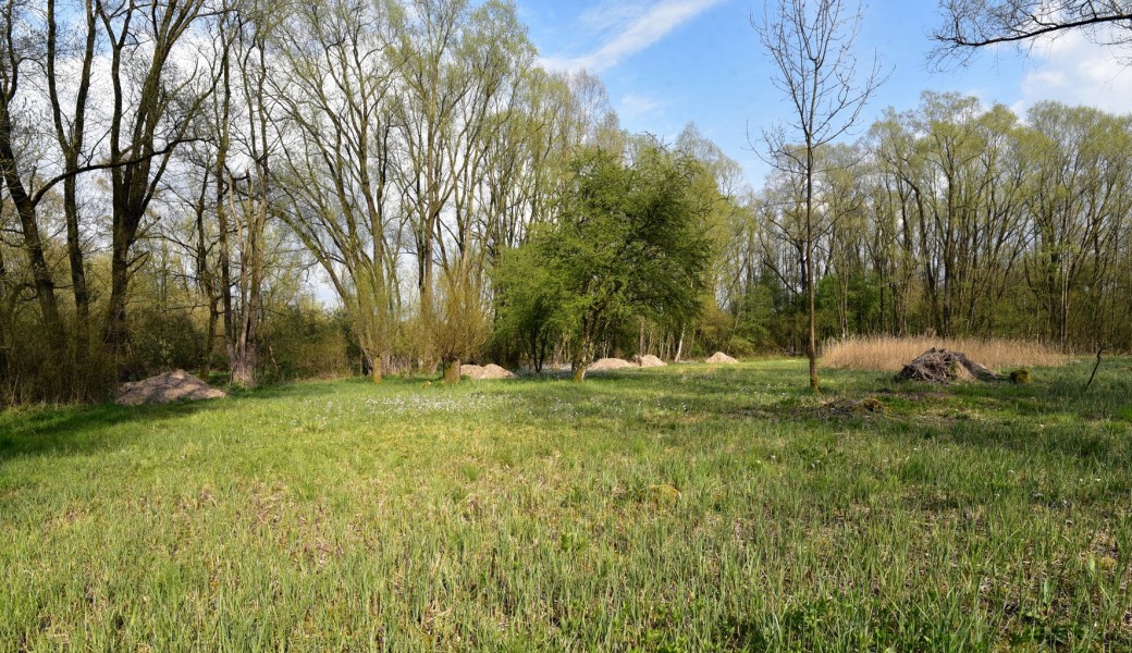 Réserve naturelle domaniale de la Noire Terre à Roucourt
