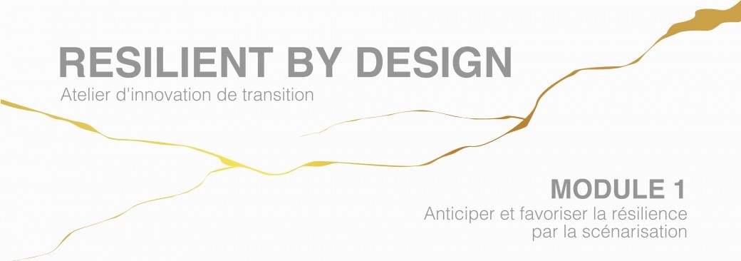 RESILIENT BY DESIGN - Atelier d'innovation de transition