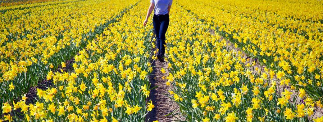 Ressources Intérieures : prendre soin de soi et du monde - Cours 4 séances