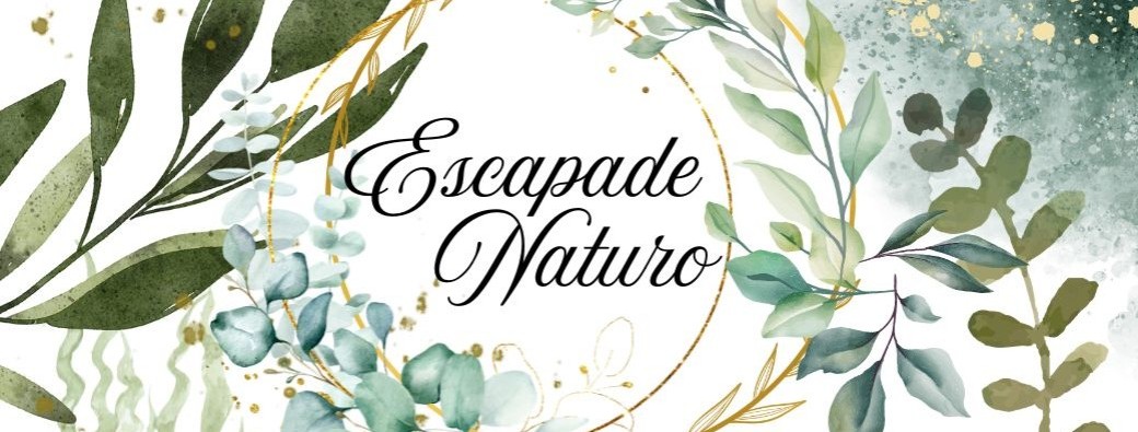 Retraite créative 22 au 25 Mai 2026