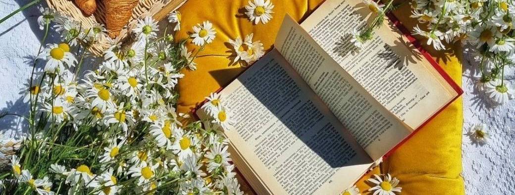 Retraite Créative juillet 2026