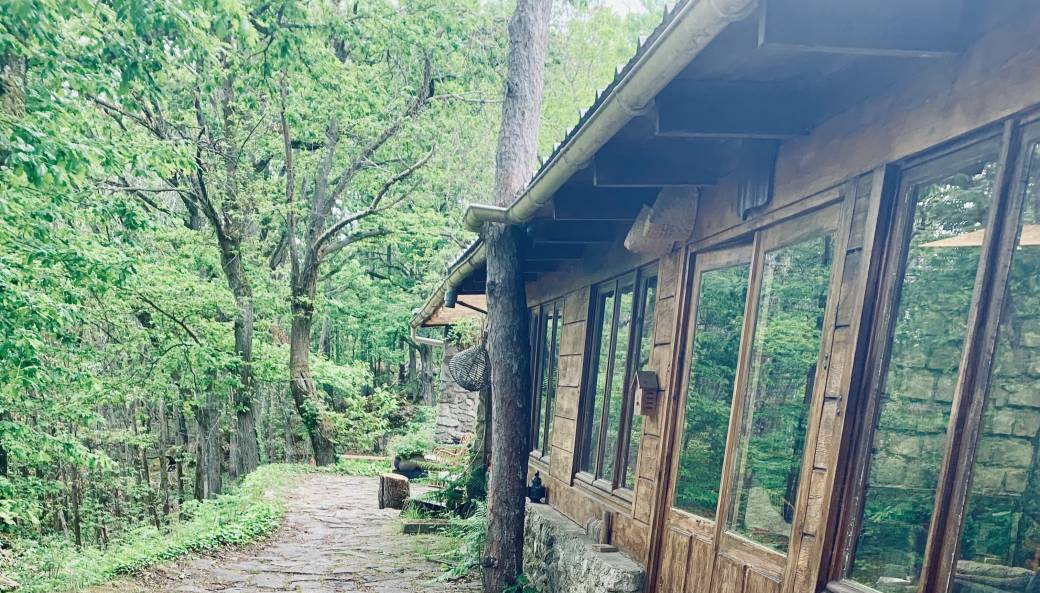 Retraite en forêt - Entre Ciel et Terre