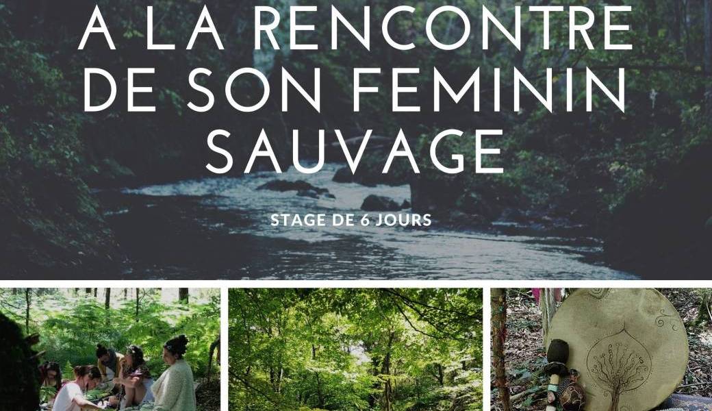 Retraite Le Féminin Sauvage en Brocéliande