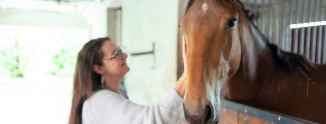 Retraite - Naissance Hochet Chamanique en Reliance avec l'Esprit du Cheval