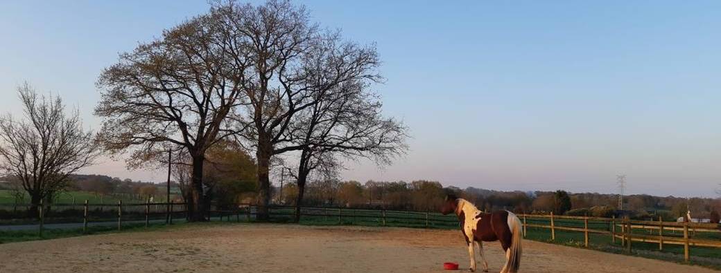Retraite ressourcement Chevaux - Yoga - Journal créatif