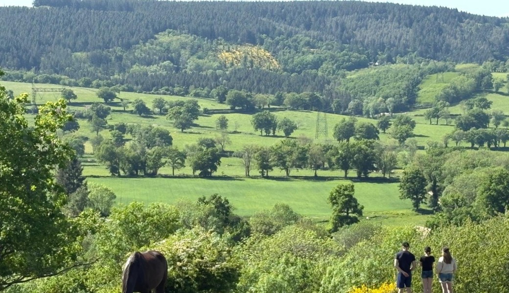 Retraite sacrée hors du temps  en connexion avec les chevaux et la nature - 6 jours