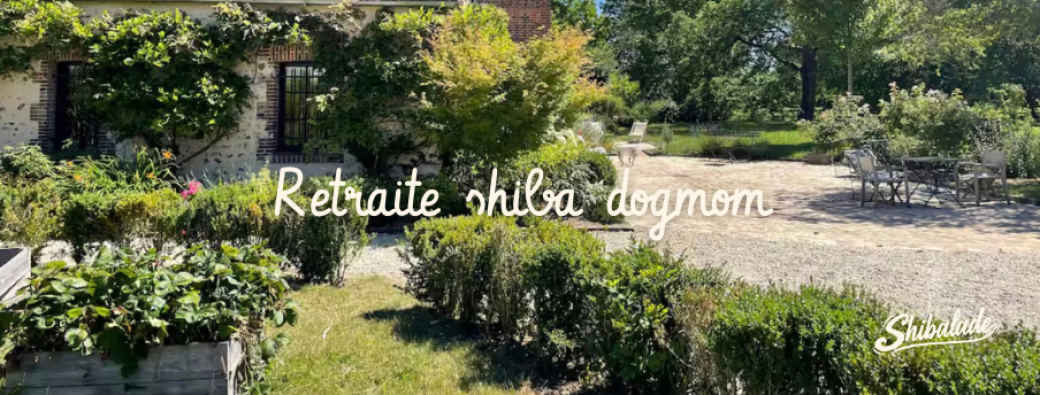 Retraite shiba dogmom