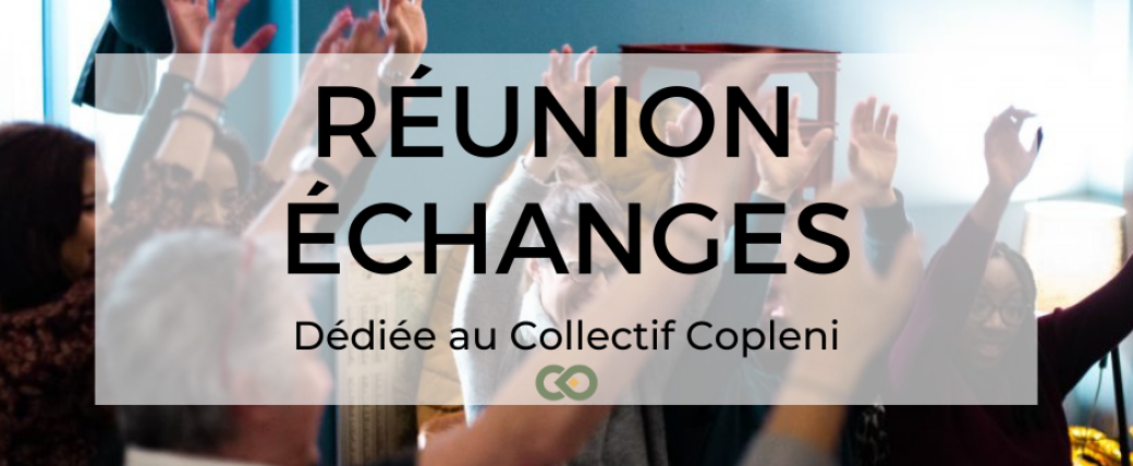 Réunion du Collectif Copleni avant l'été