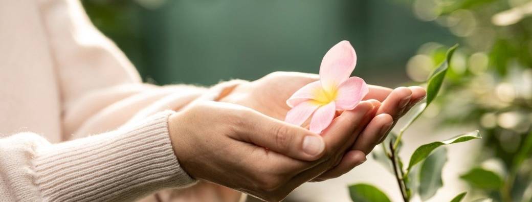 Réunion d'information programme MSC