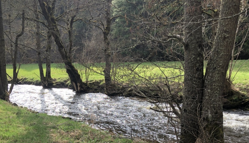 Réveiller sa Créativité & Nourrir sa Vitalité … L’art de se sentir Vivante / 1er au 4 Août 2026