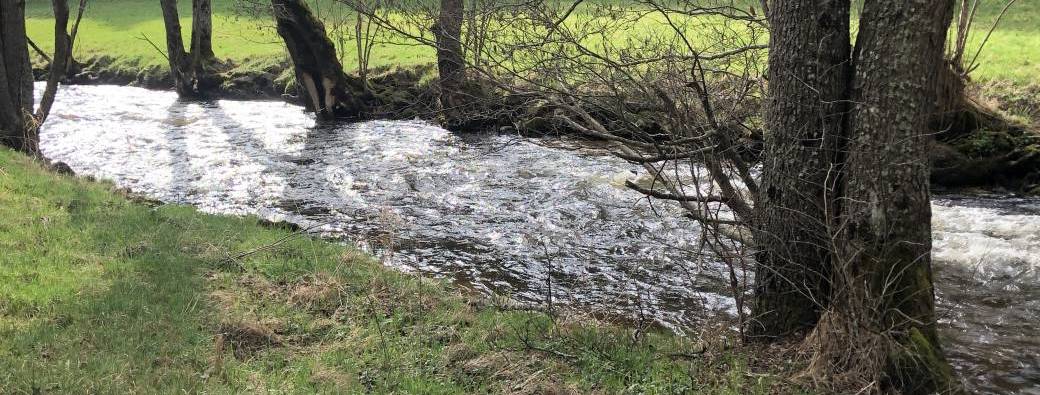 Réveiller sa Créativité & Nourrir sa Vitalité … L’art de se sentir Vivante / Du 6 au 9 Août 2026