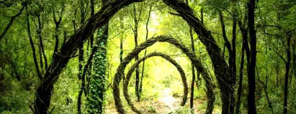 Rituel de début d'année Rituel de début d'année