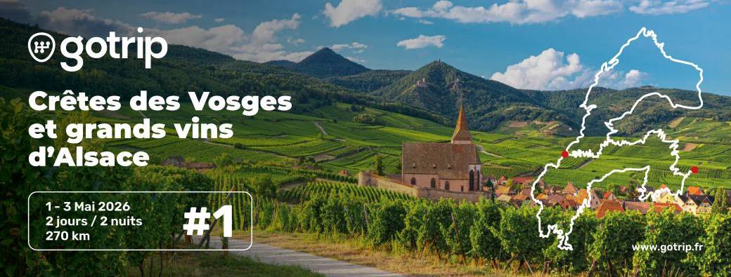 Des crêtes des Vosges aux grands vins d’Alsace