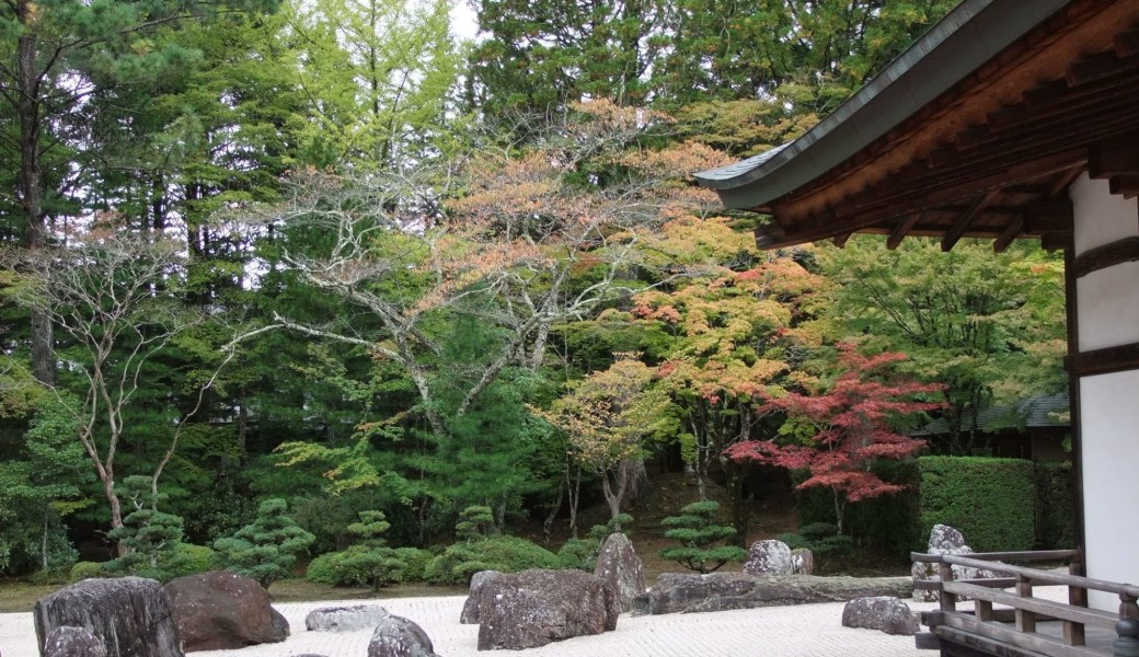 Roji, le chemin de rosée : découvrir les jardins de thé au Japon