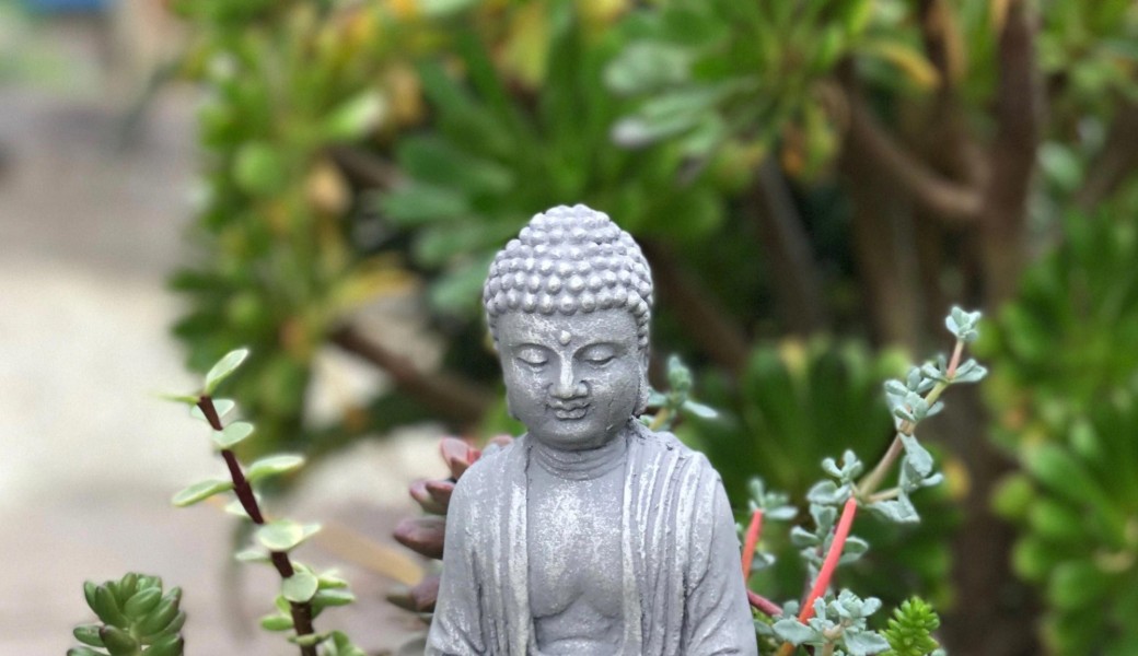 Rouen-sur-mer : création d'un jardin zen