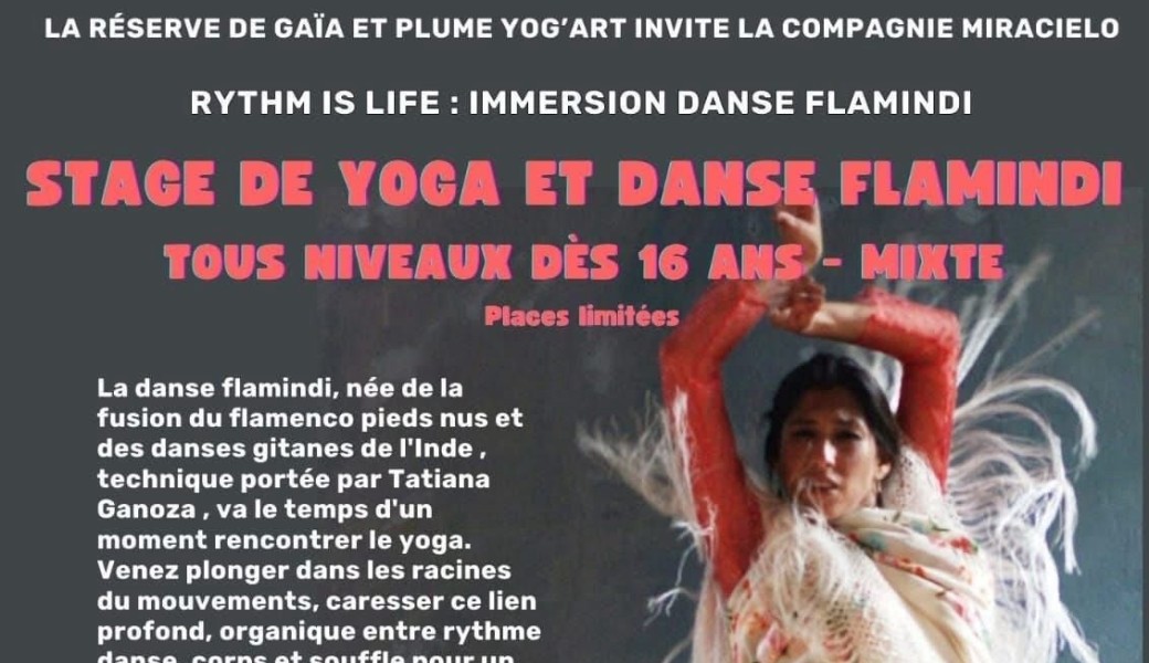 RYTHM IS LIFE : Immersion Danse Flamindi 
