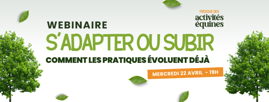 S’adapter plutôt que subir : comment les pratiques équestres évoluent déjà