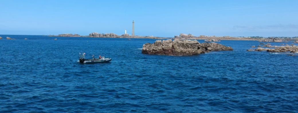 Safari Maritime