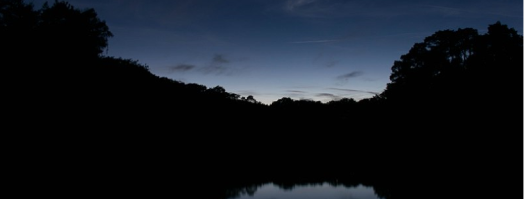 Safari nocturne 7-13 ans