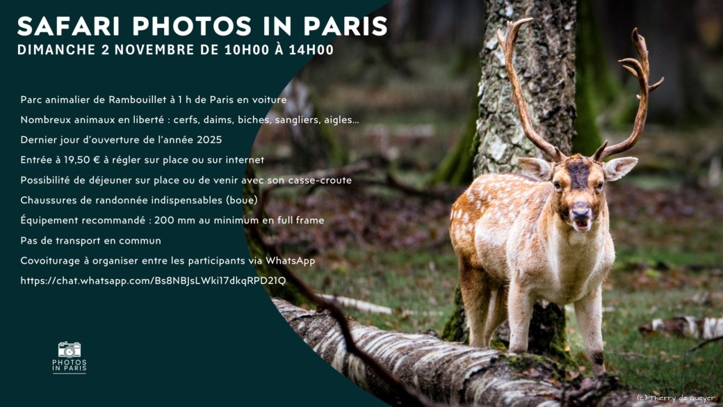Safari Photos