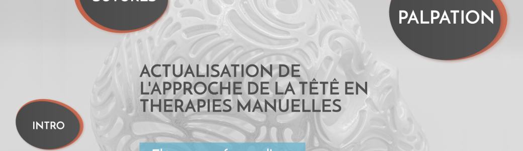 S02E04 | Actualisation de l’approche de la tête