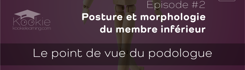 S04E02 | Posture et morphologie du membre inférieur