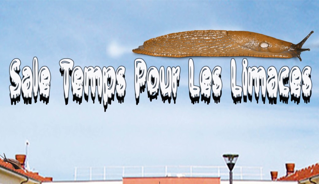 Sale temps pour les limaces 