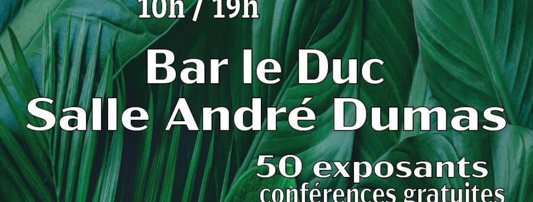 Salon bien-être, thérapies holistiques et paranormal de Bar le Duc