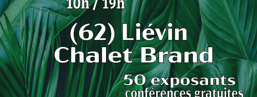 Salon bien-être, thérapies holistiques et paranormal de Lievin